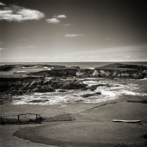 Acrylic Print