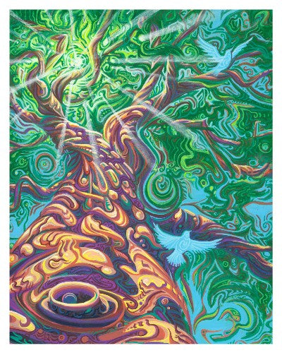 Paper Print