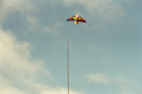 Photo Print