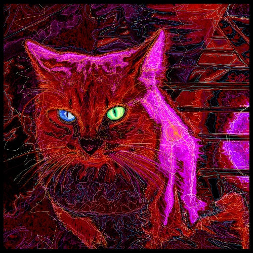 Holofoil Print