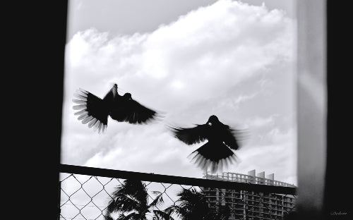 Brushed Metal Print