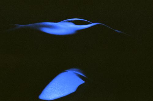 Photo Print