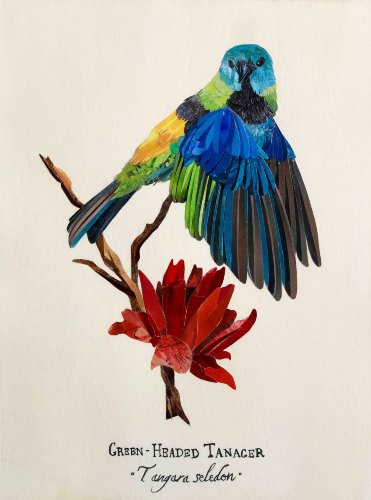 Paper Print