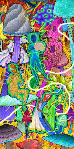 Paper Print