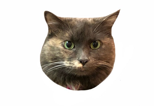 Custom Sticker
