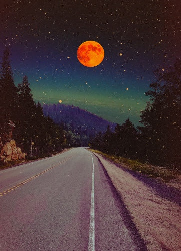 Canvas Print